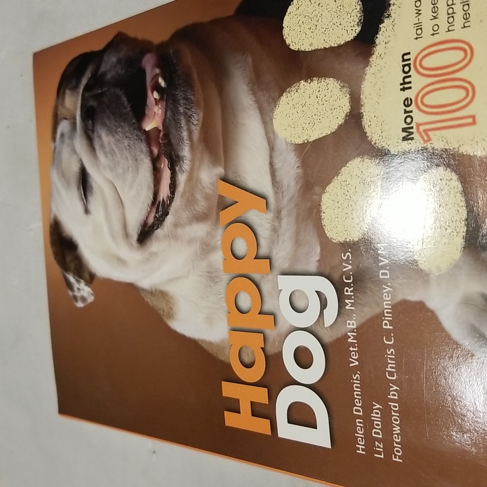 Happy dog Dr Dennis new